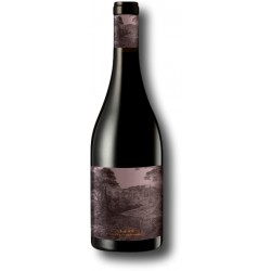 Pacherenc Vic-Bilh Berthoumieu