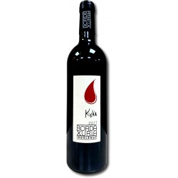 KIXKA - Irouleguy du domaine BORDAXURIA