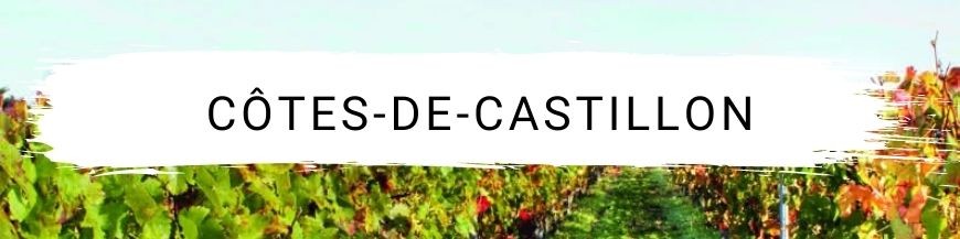 Côtes-de-Castillon