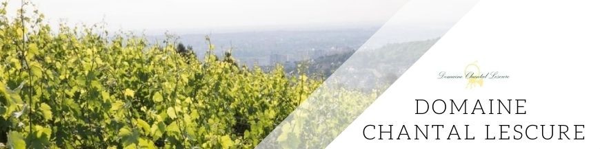 Domaine Chantal Lescure