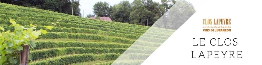 Domaine Lapeyre