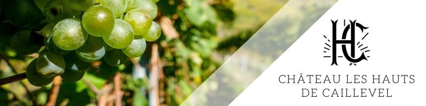 Château Les Hauts de Caillevel